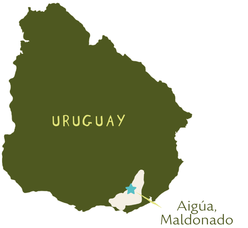 Ubicación de Aiguá, Maldonado