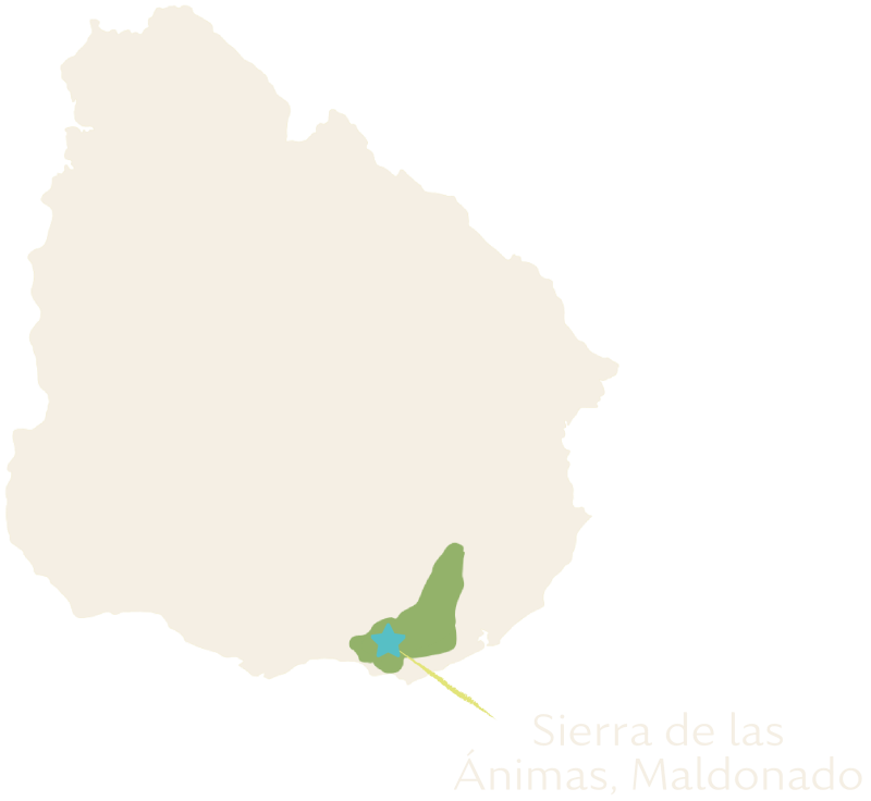 Ubicación de Sierra de las Ánimas, Maldonado