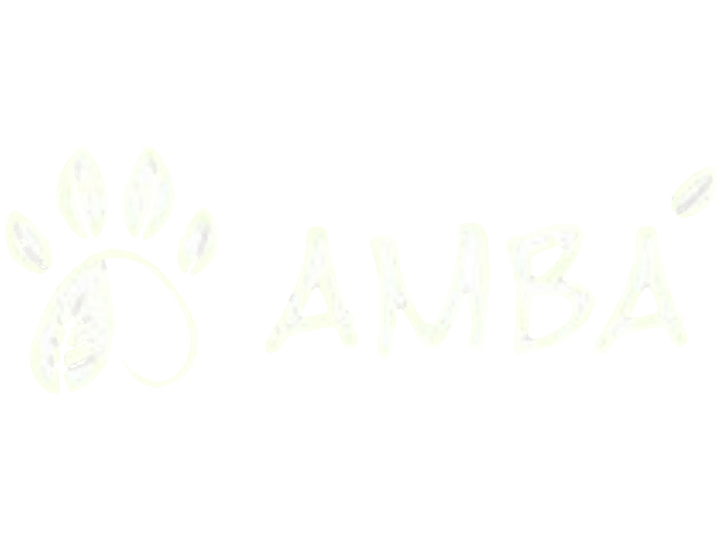 AMBA
